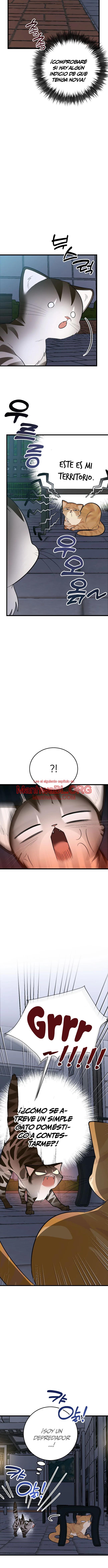 ¡Dame un cachorro de gato montés, si no quieres verme enloquecer! - Capítulo 8 2 manhwa