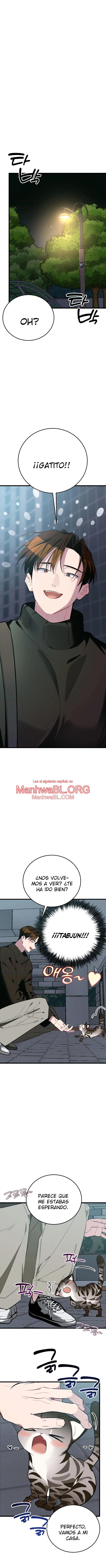 ¡Dame un cachorro de gato montés, si no quieres verme enloquecer! - Capítulo 8 2 manhwa
