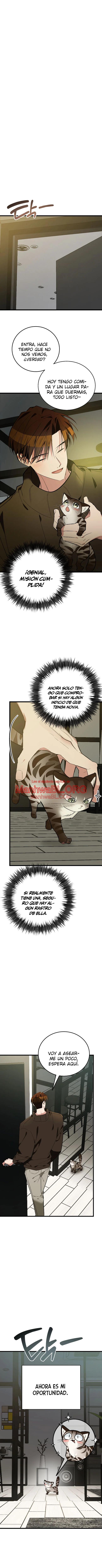 ¡Dame un cachorro de gato montés, si no quieres verme enloquecer! - Capítulo 8 2 manhwa