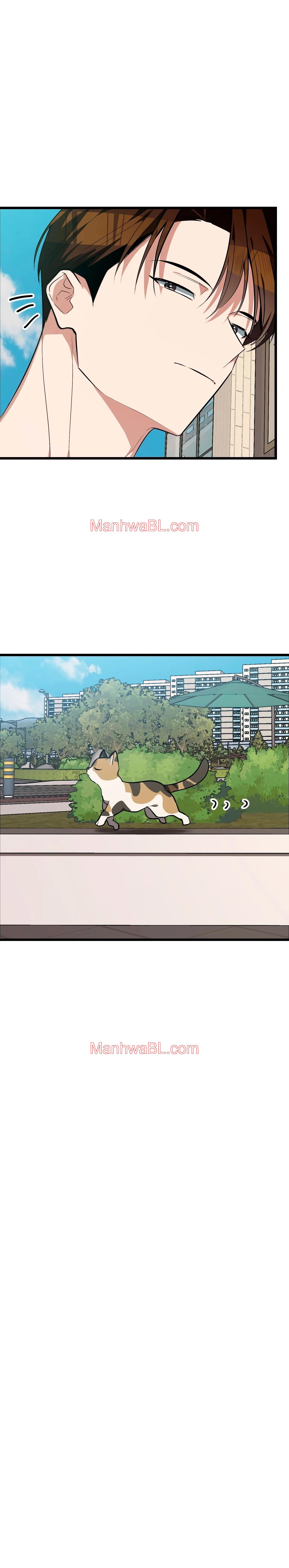 ​¡Dame un cachorro de gato montés, si no quieres verme enloquecer! - Capítulo 6 manhwa