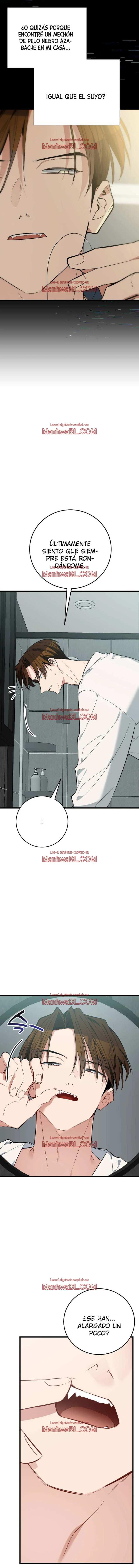 ​¡Dame un cachorro de gato montés, si no quieres verme enloquecer! - Capítulo 10 manhwa