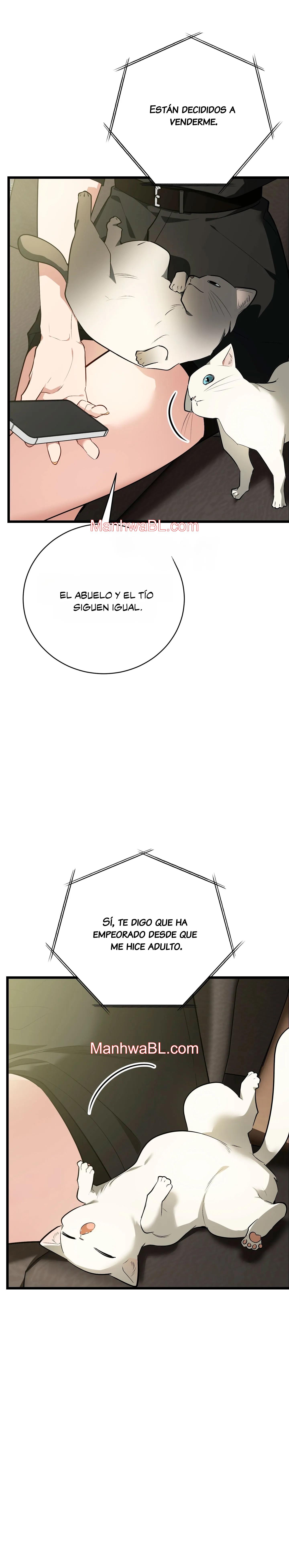 ​¡Dame un cachorro de gato montés, si no quieres verme enloquecer! - Capítulo 5 manhwa