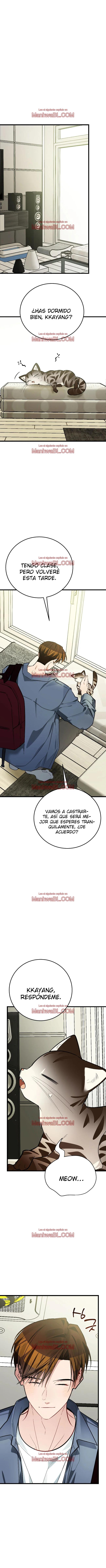 ​¡Dame un cachorro de gato montés, si no quieres verme enloquecer! - Capítulo 9 manhwa