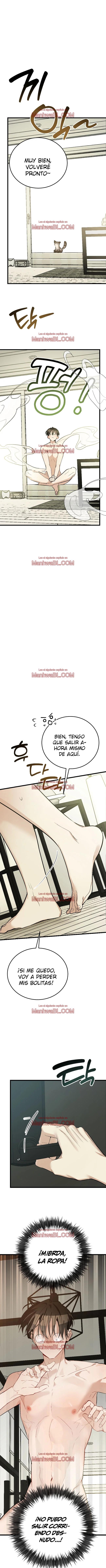 ​¡Dame un cachorro de gato montés, si no quieres verme enloquecer! - Capítulo 9 manhwa