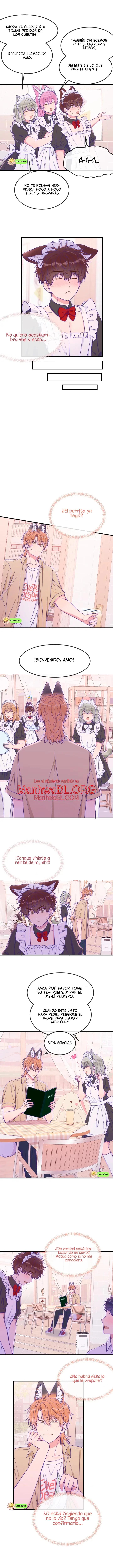 El cachorro mentiroso sera devorado - Capítulo 63 manhwa