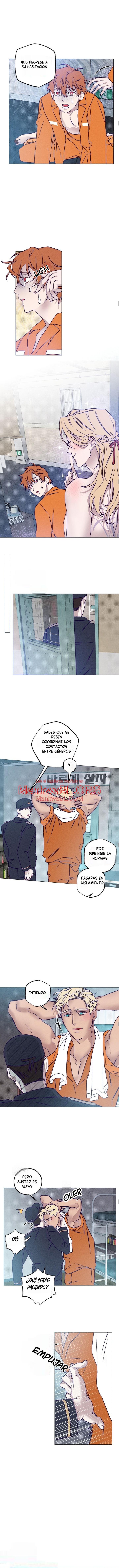 Desayuno en prision - Capítulo 14 3 manhwa