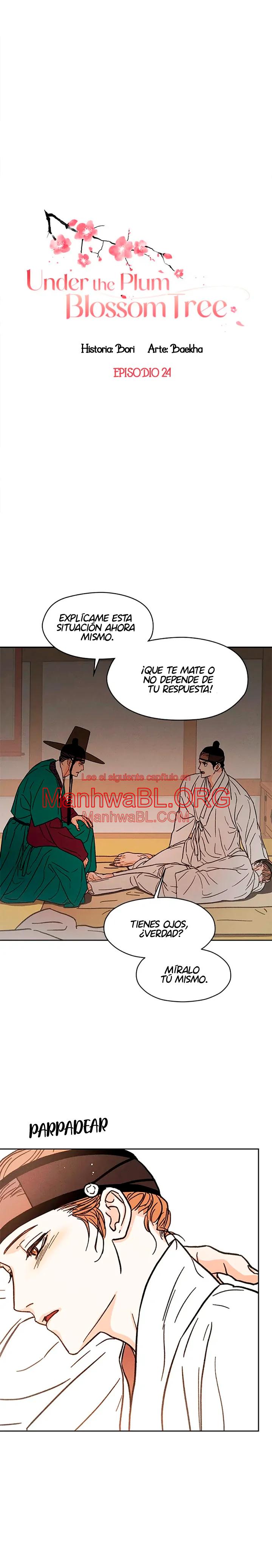 Under the Plum Blossom Tree - Capítulo 24 manhwa