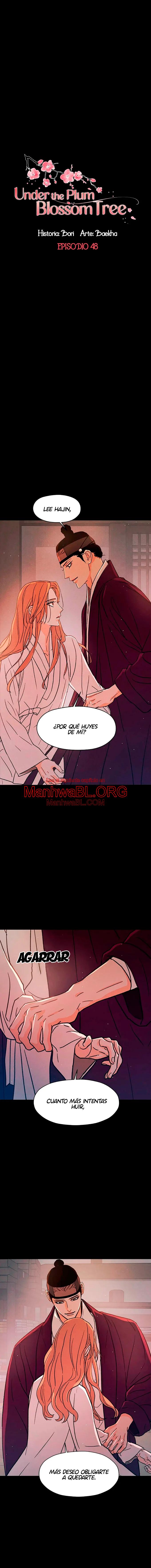Under the Plum Blossom Tree - Capítulo 48 manhwa