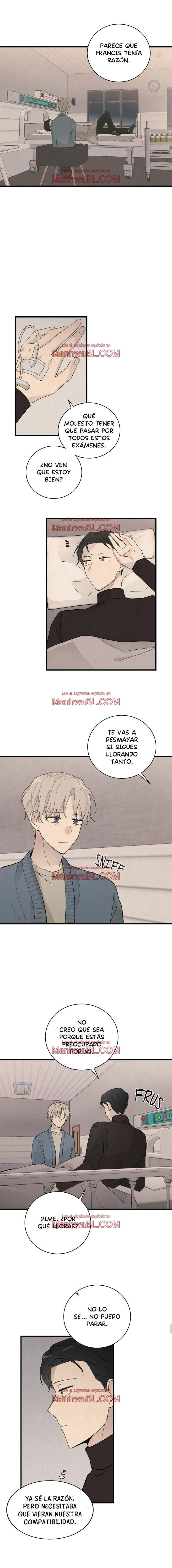 Hasta el alba - Capítulo 15 manhwa