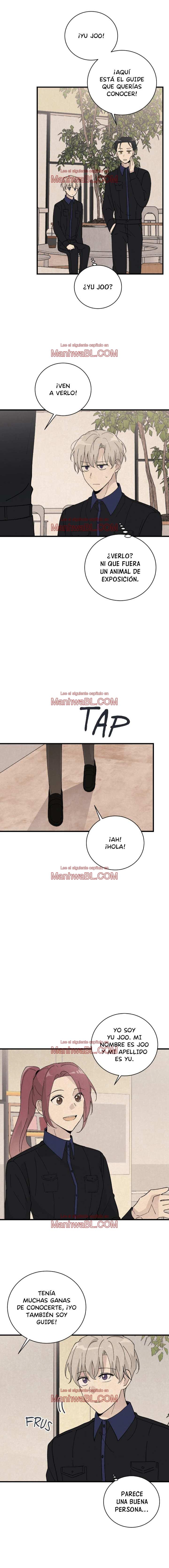 Hasta el alba - Capítulo 12 manhwa