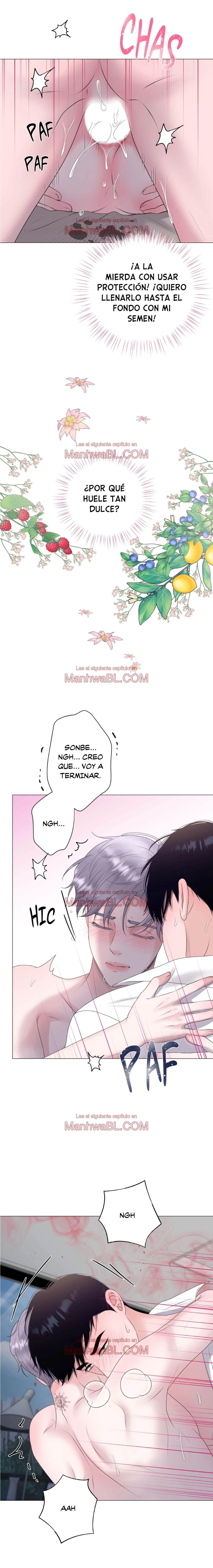 No soy tu alfa - Capítulo 18 manhwa