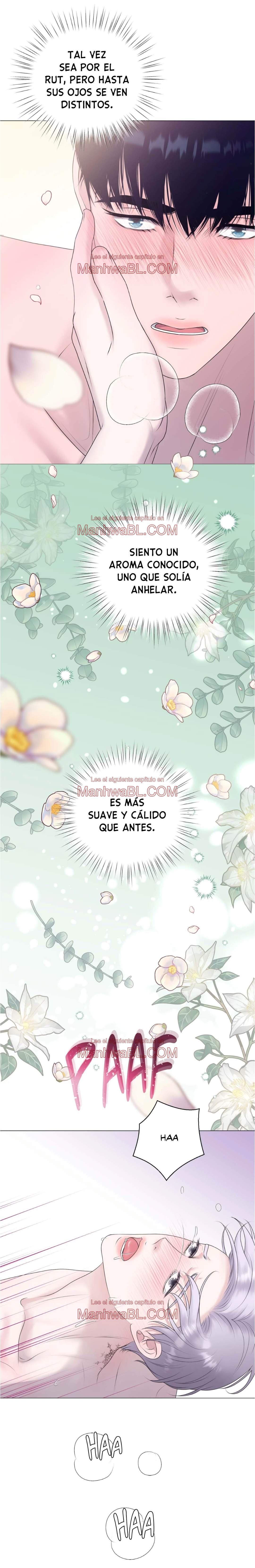 No soy tu alfa - Capítulo 18 manhwa