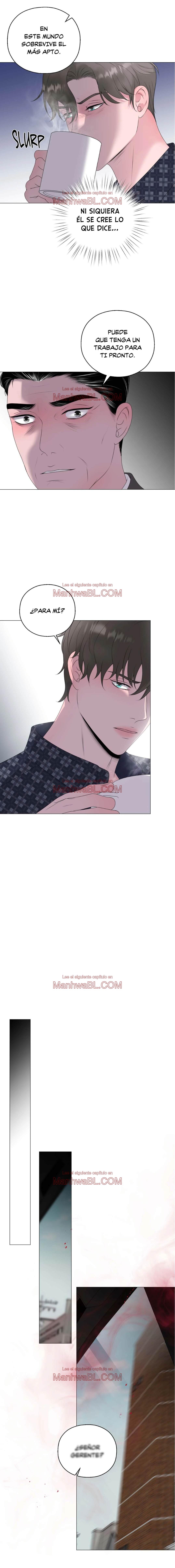 No soy tu alfa - Capítulo 17 manhwa