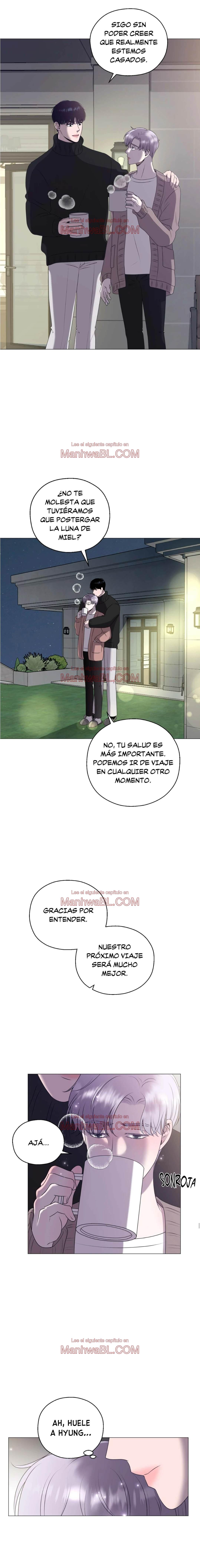 No soy tu alfa - Capítulo 3 manhwa