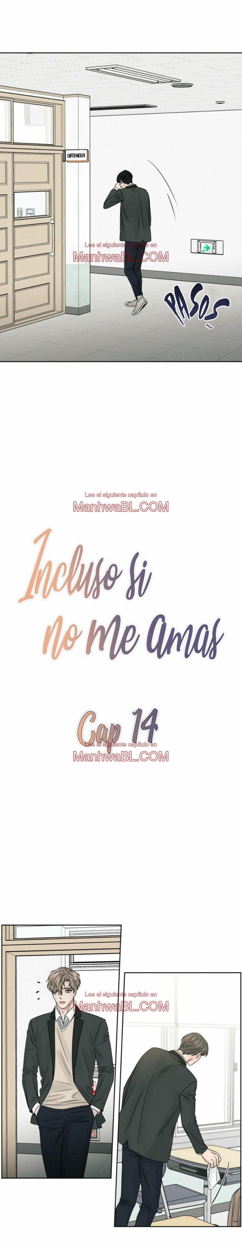 Sin importar el amor - Capítulo 14 manhwa
