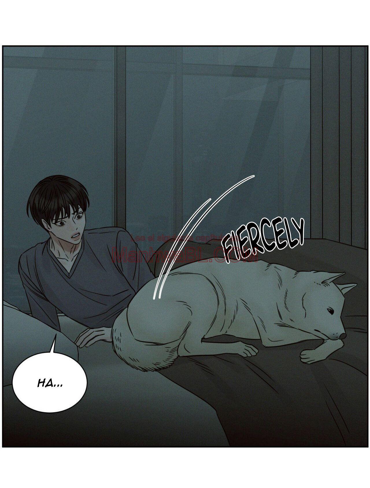 Sin importar el amor - Capítulo 62 manhwa