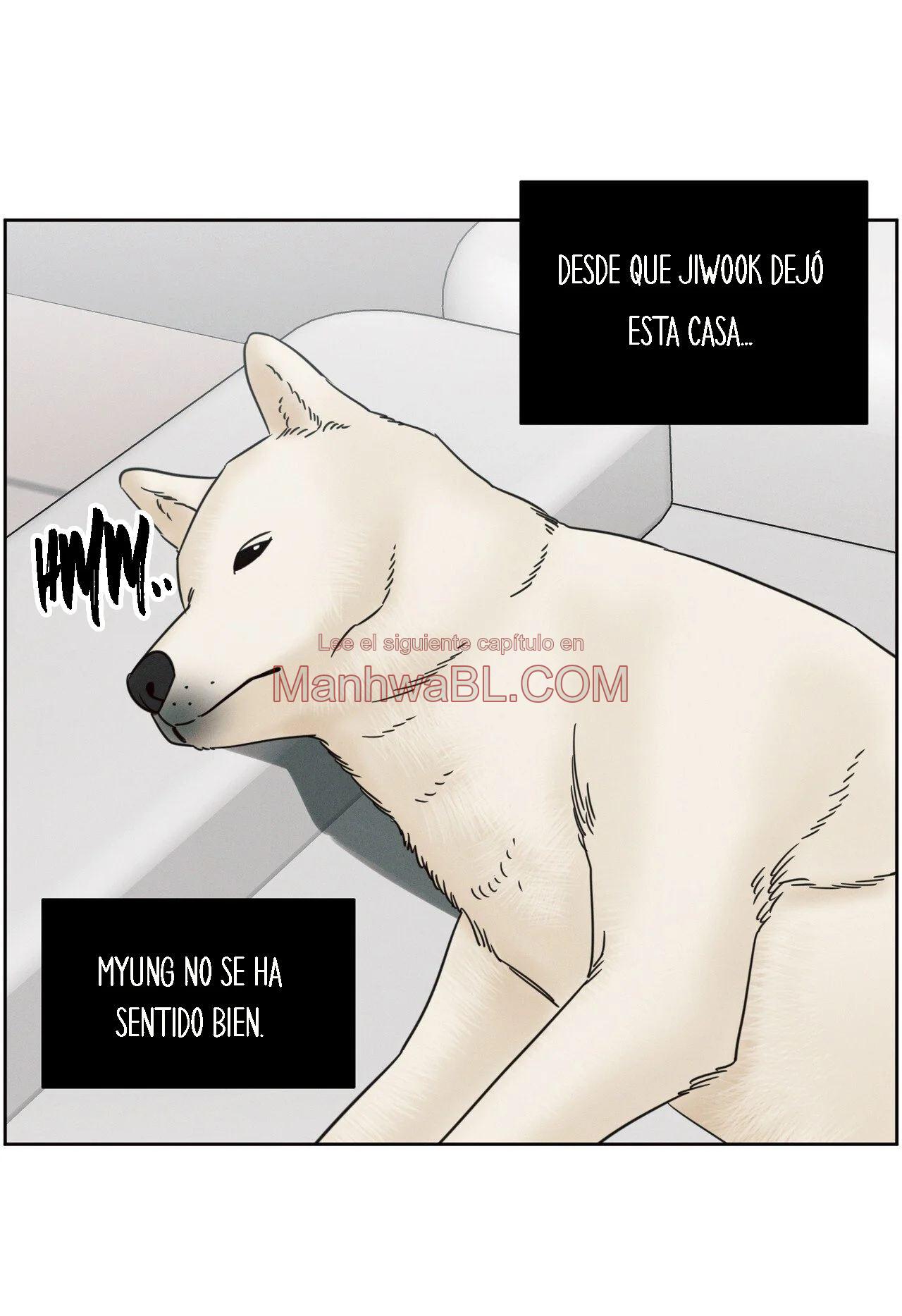 Sin importar el amor - Capítulo 89 3 manhwa