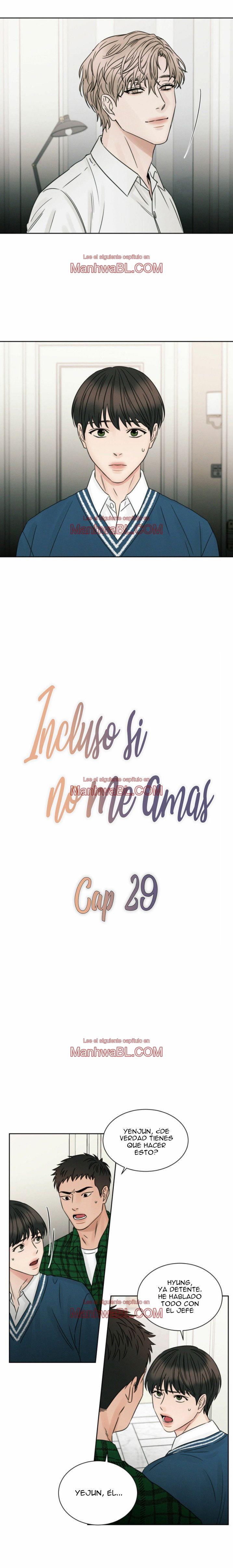Sin importar el amor - Capítulo 29 manhwa