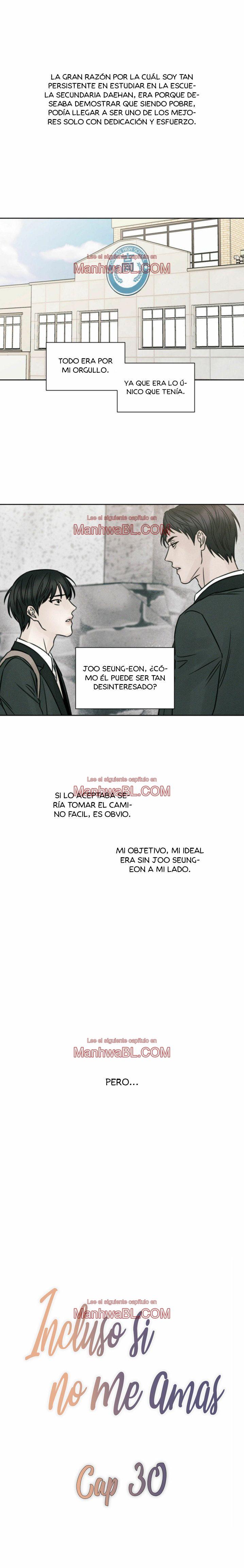 Sin importar el amor - Capítulo 30 manhwa