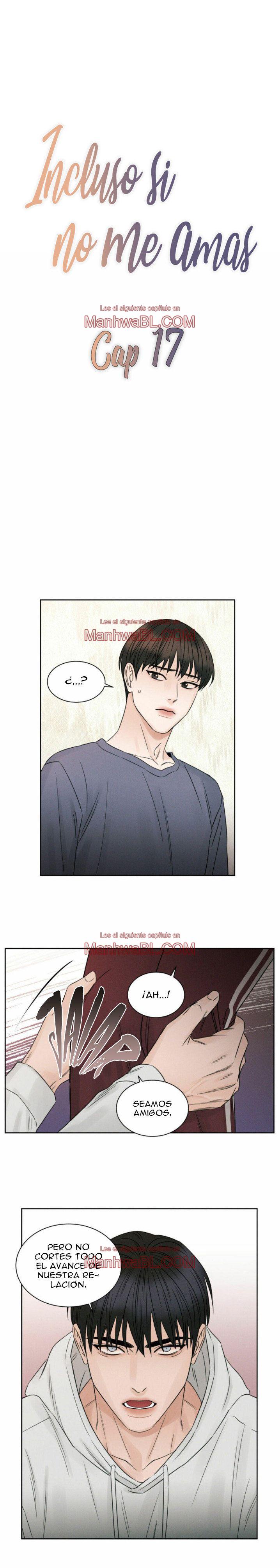 Sin importar el amor - Capítulo 17 manhwa