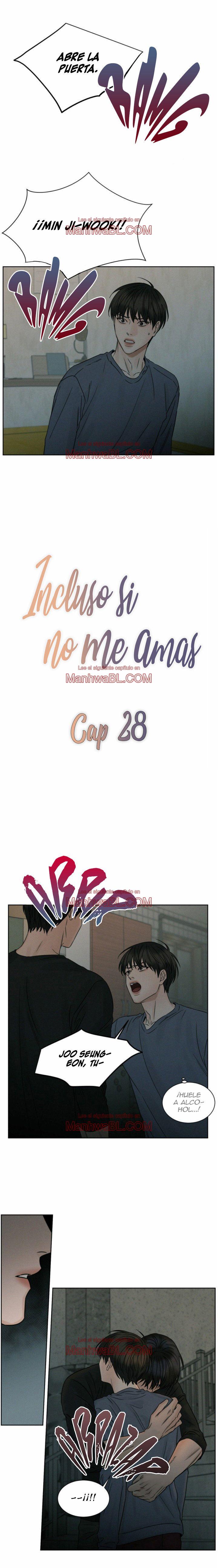 Sin importar el amor - Capítulo 28 manhwa