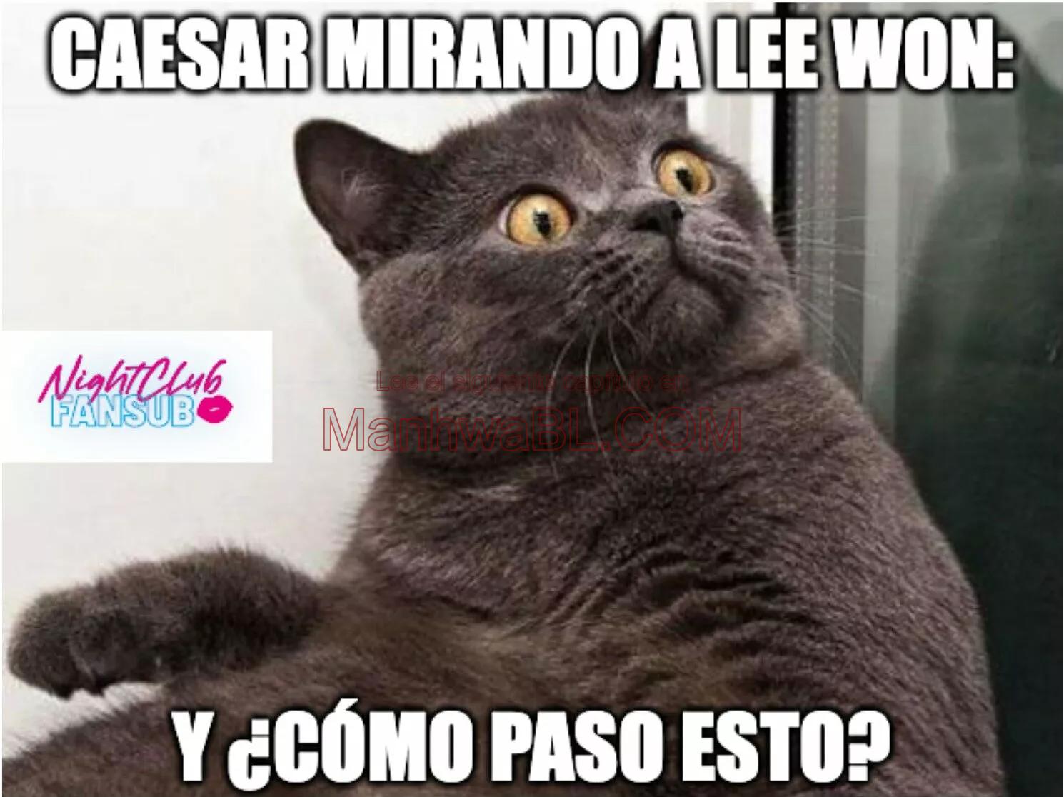 Rosas y Champaña - Capítulo 61 3 manhwa
