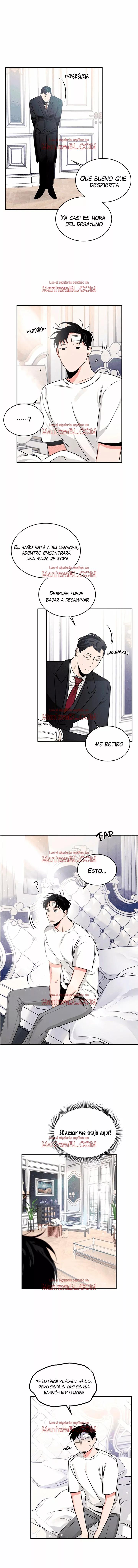 Rosas y Champaña - Capítulo 17 manhwa