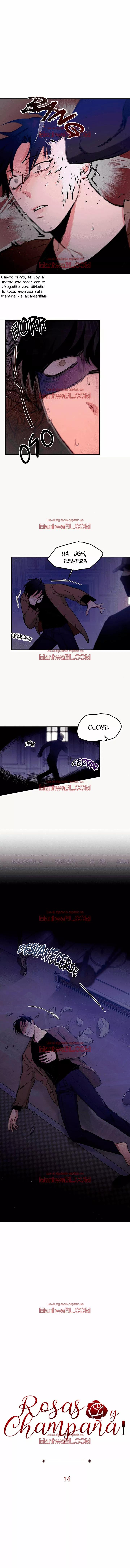 Rosas y Champaña - Capítulo 14 manhwa