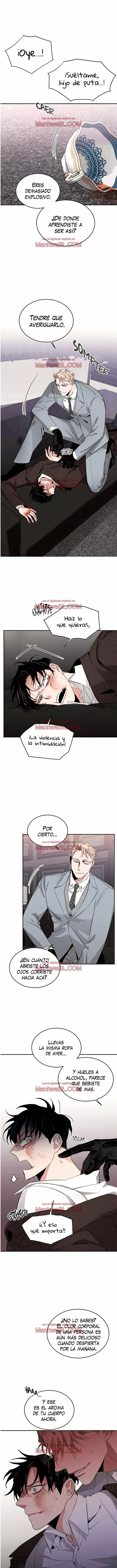 Rosas y Champaña - Capítulo 4 3 manhwa