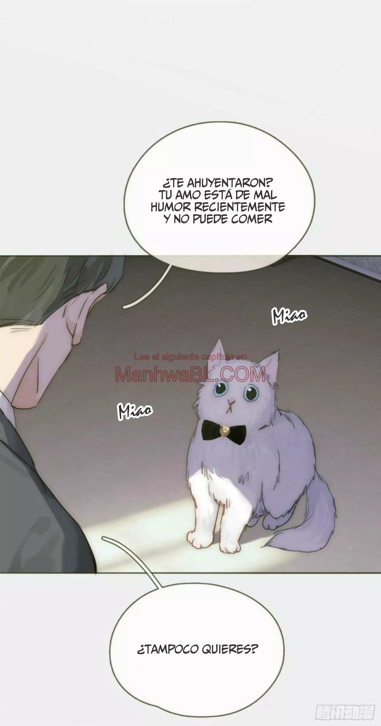 Manhwa BL Español – Leer Yaoi Online Gratis en es.mi2manga.com Por favor, duerme conmigo - Capítulo 96 manhwa