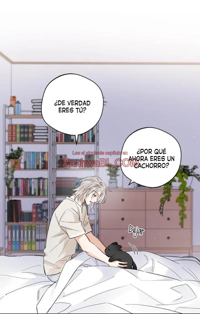 Reclamado por un lobo - Capítulo 21 2 manhwa