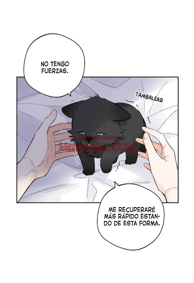 Reclamado por un lobo - Capítulo 21 2 manhwa