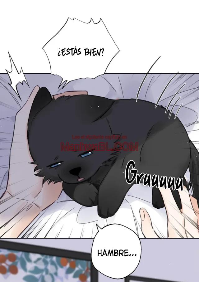 Reclamado por un lobo - Capítulo 21 2 manhwa