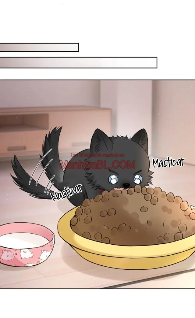 Reclamado por un lobo - Capítulo 21 2 manhwa