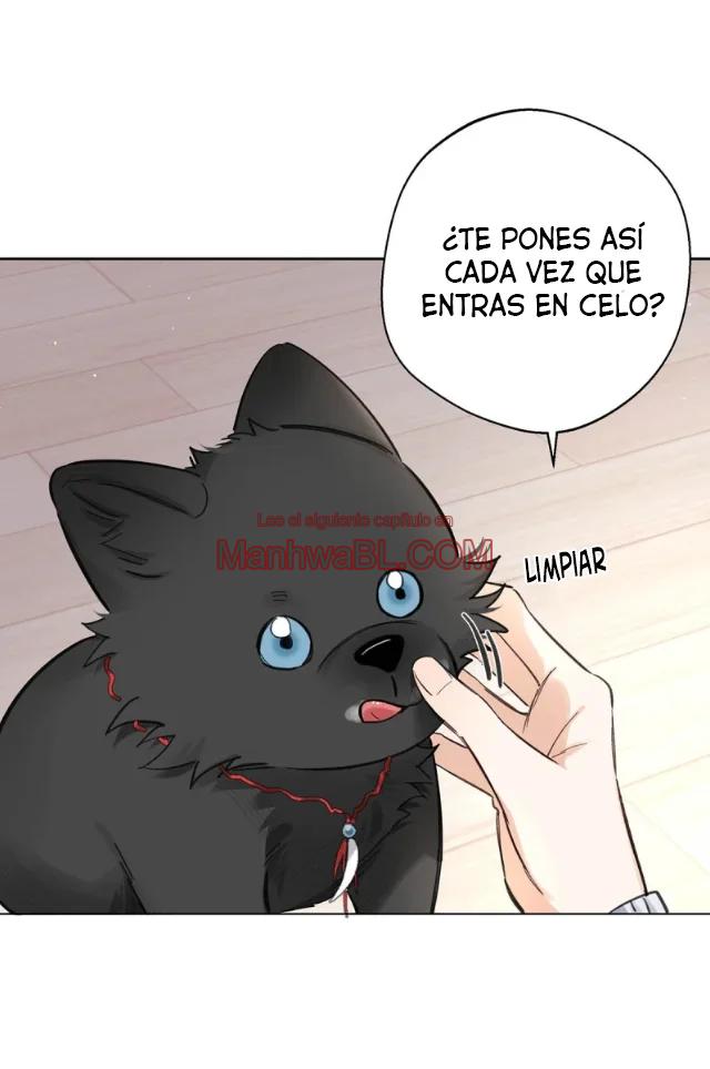 Reclamado por un lobo - Capítulo 21 2 manhwa