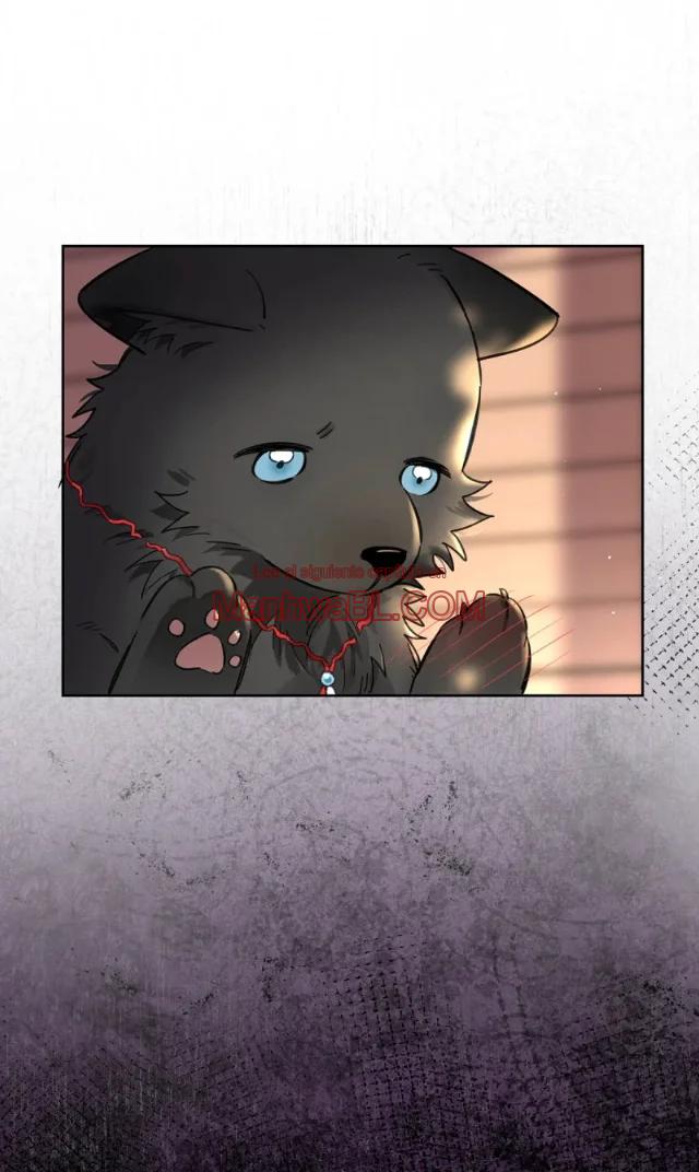 Reclamado por un lobo - Capítulo 22 2 manhwa