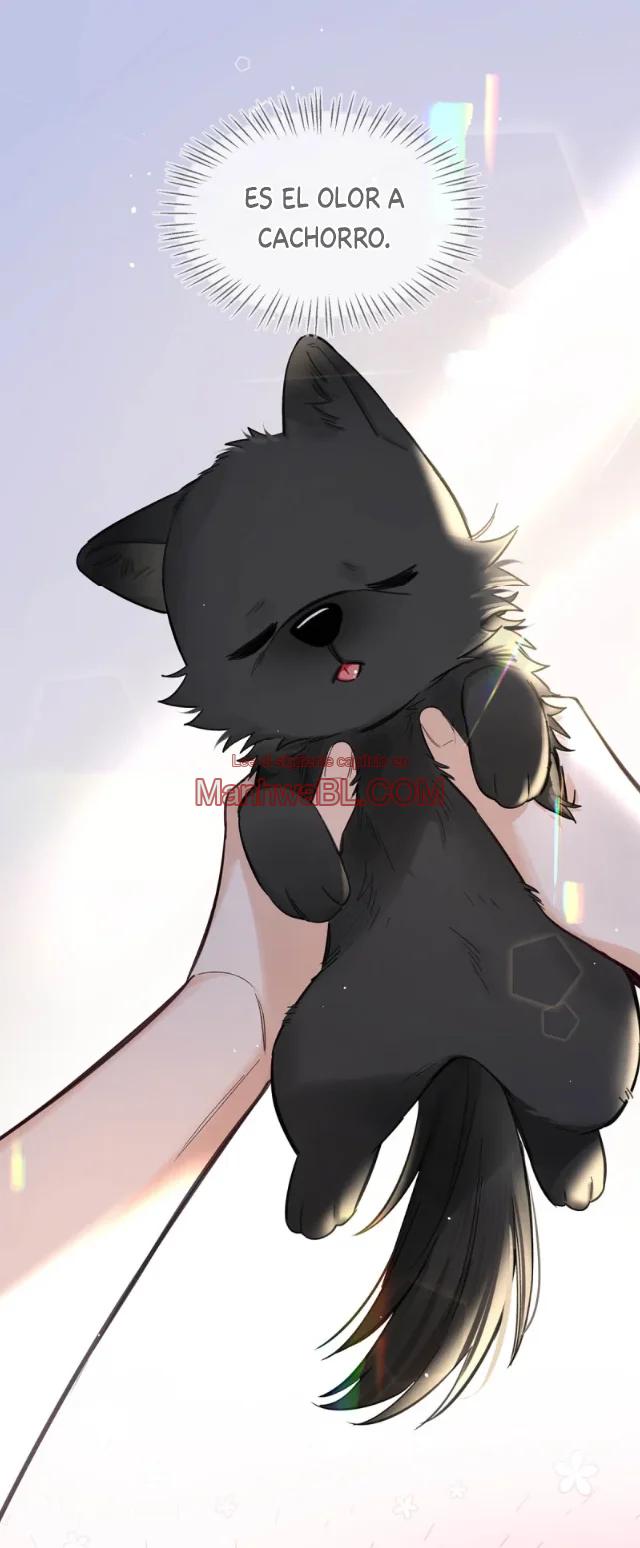 Reclamado por un lobo - Capítulo 21 manhwa