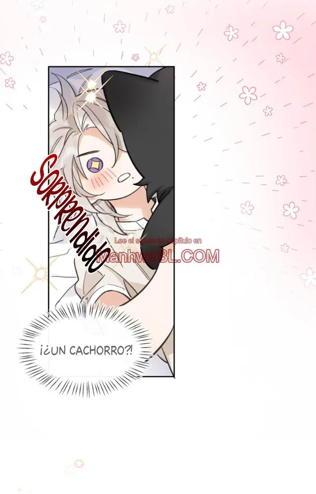 Reclamado por un lobo - Capítulo 21 manhwa