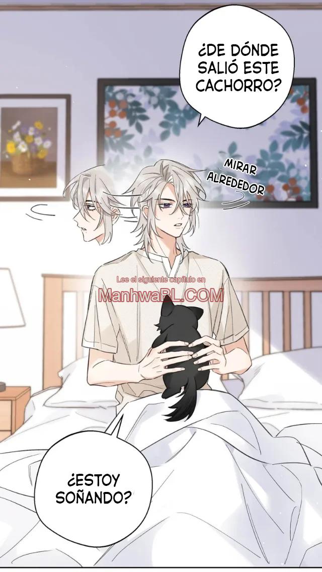 Reclamado por un lobo - Capítulo 21 manhwa