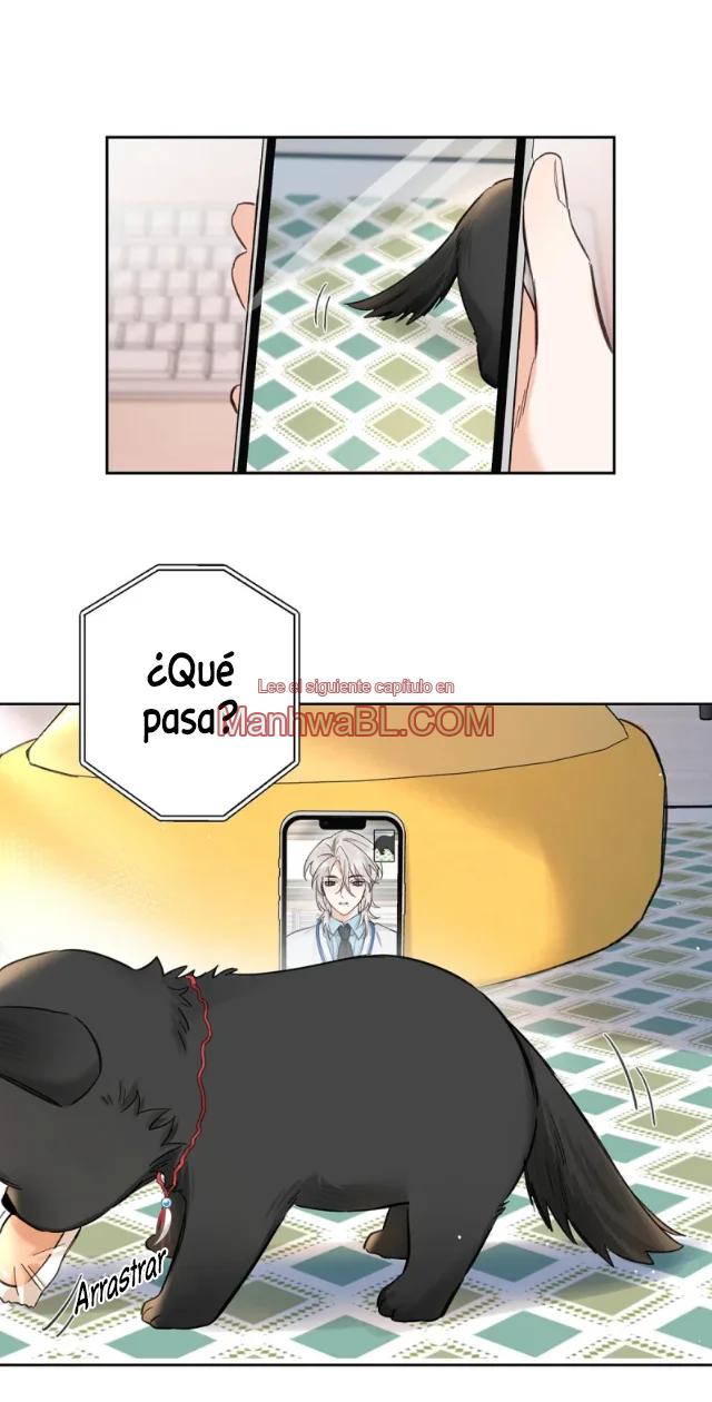 Reclamado por un lobo - Capítulo 22 manhwa