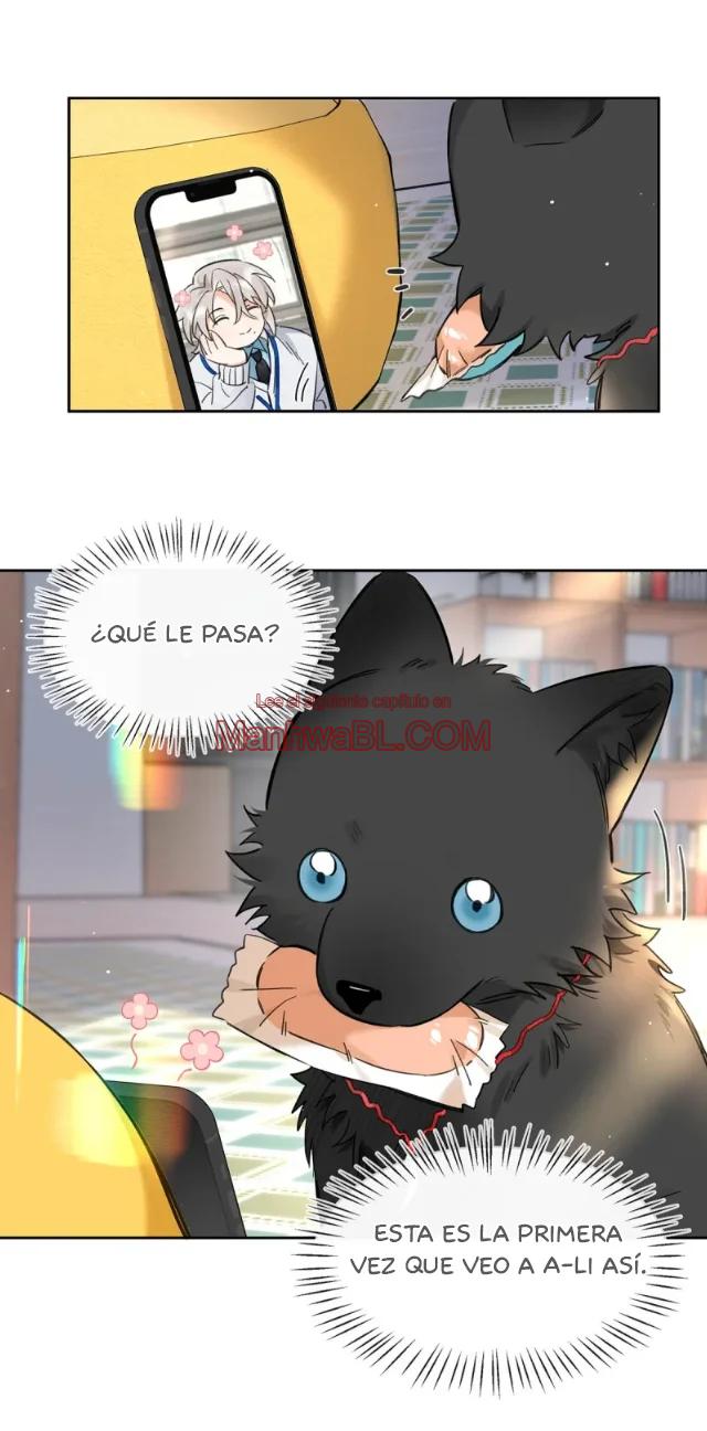 Reclamado por un lobo - Capítulo 22 manhwa