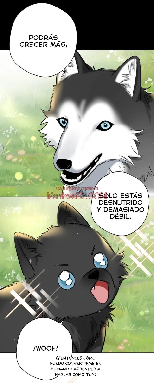 Reclamado por un lobo - Capítulo 22 3 manhwa