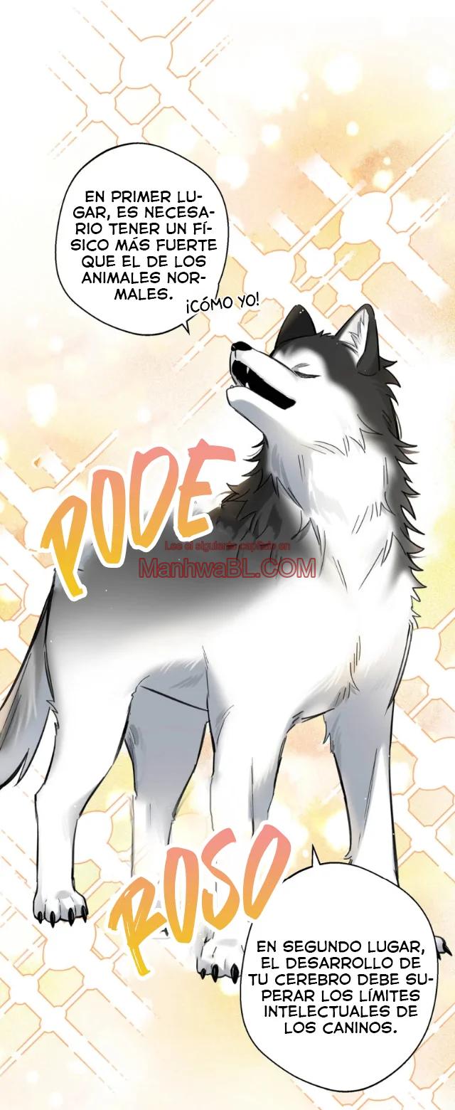 Reclamado por un lobo - Capítulo 22 3 manhwa