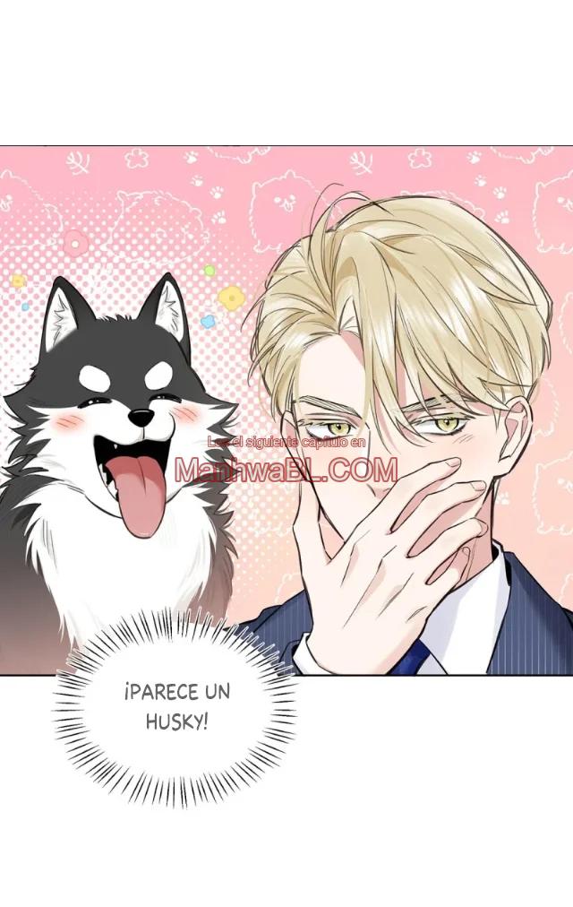 Reclamado por un lobo - Capítulo 17 2 manhwa