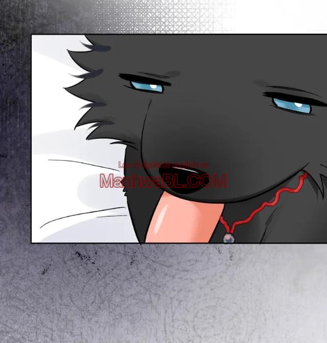 Reclamado por un lobo - Capítulo 23 2 manhwa