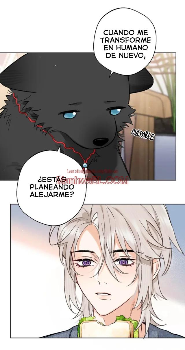 Reclamado por un lobo - Capítulo 23 2 manhwa