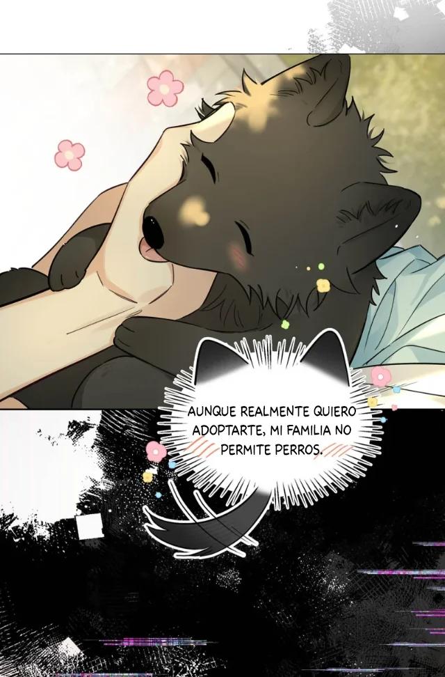 Reclamado por un lobo - Capítulo 12 manhwa