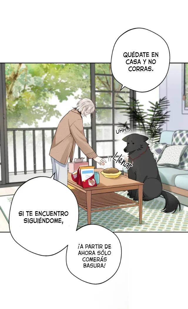 Reclamado por un lobo - Capítulo 13 manhwa