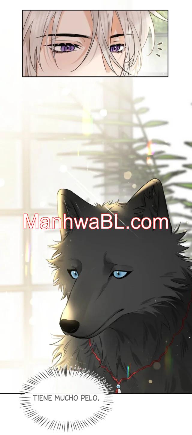 Reclamado por un lobo - Capítulo 13 manhwa