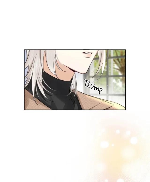 Reclamado por un lobo - Capítulo 13 manhwa